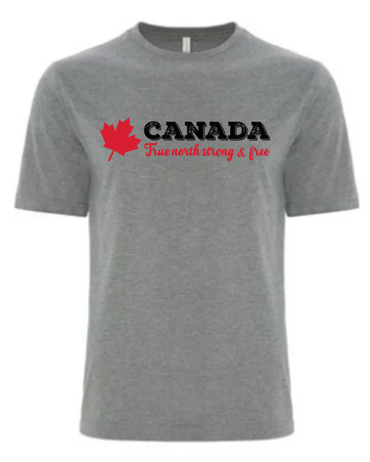 True North Strong and Free – Vintage Bold Tee  Deep Heather Grey